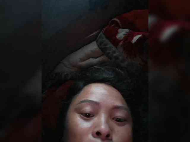 hanic webcam