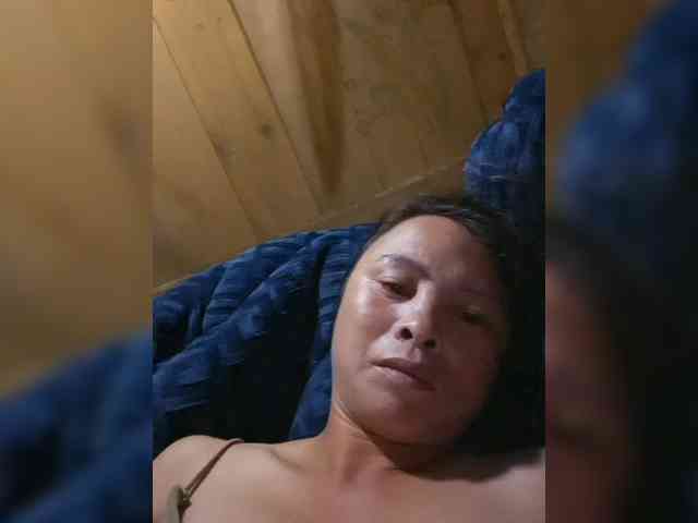 hanic webcam