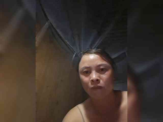 hanic webcam