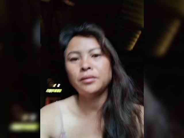 hanic webcam
