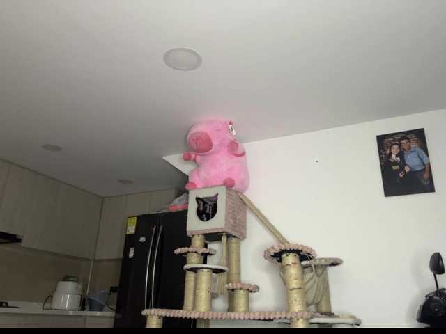 Preview of bree-watson