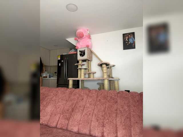 Preview of bree-watson