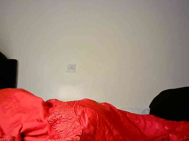 Cattie webcam