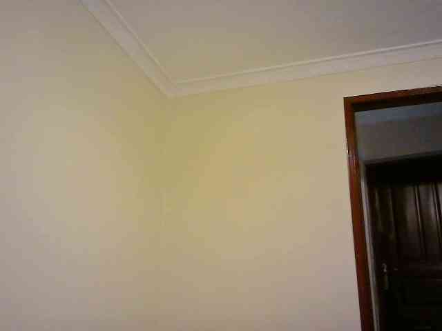 Cattie webcam