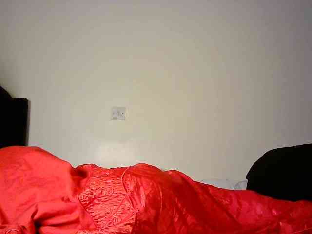 Cattie webcam