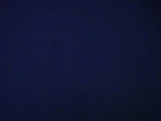 horny-cougar Porn Show