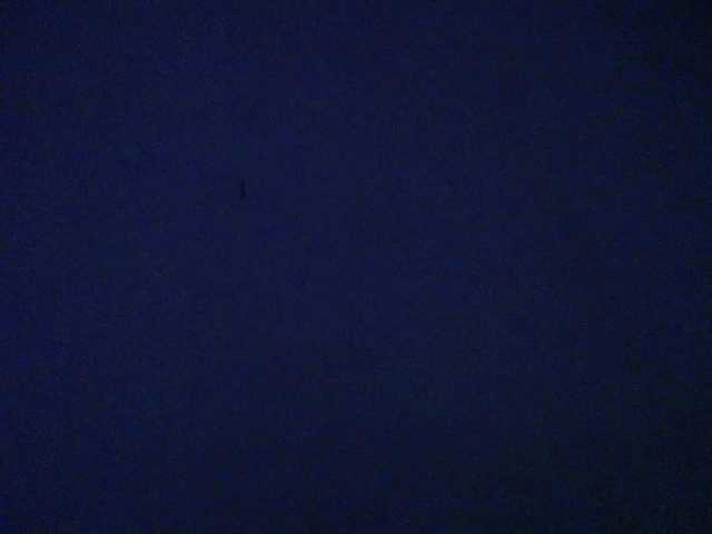 horny-cougar's BongaCams show and profile