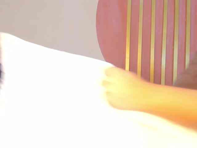 PalmerEvans webcam