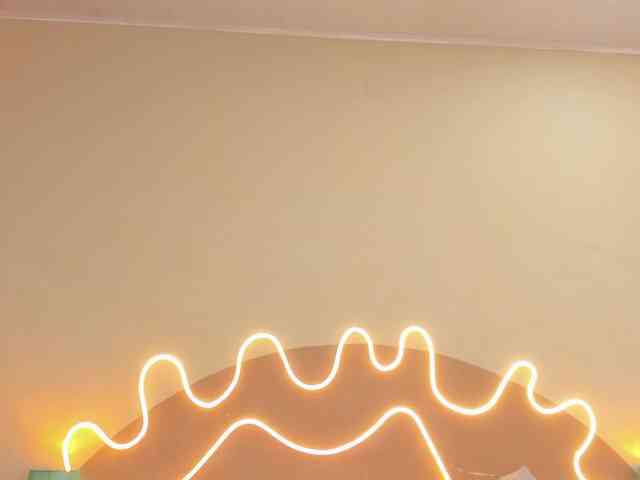 PalmerEvans webcam