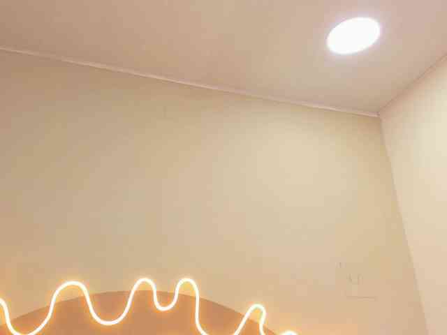 PalmerEvans webcam