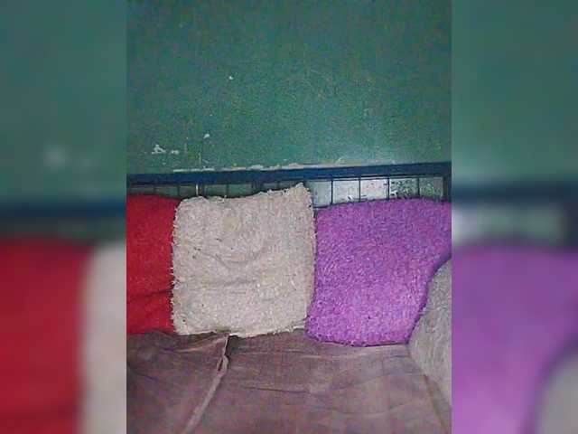 chibaby1's BongaCams show and profile