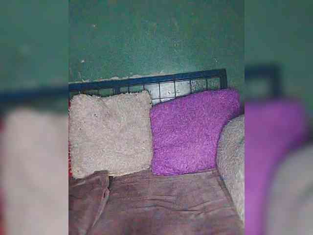 chat with online Chibaby1