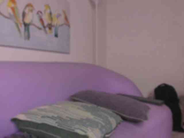 aysa-khalaf webcam