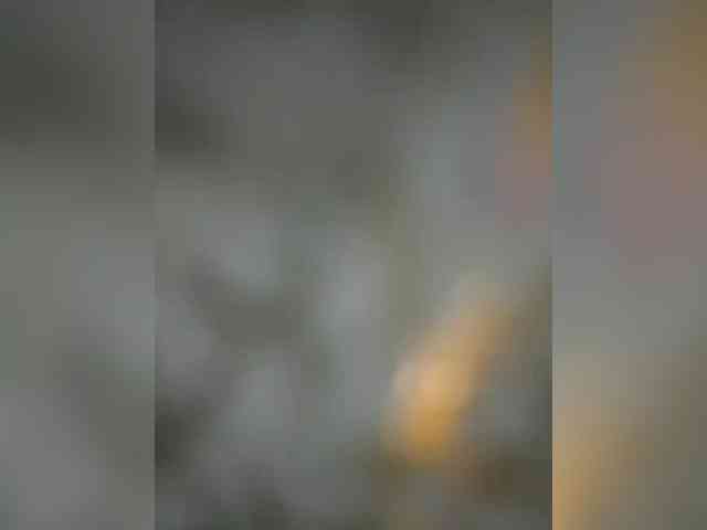 Lisenok_ webcam