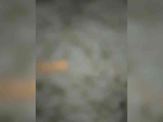 Lisenok_ webcam