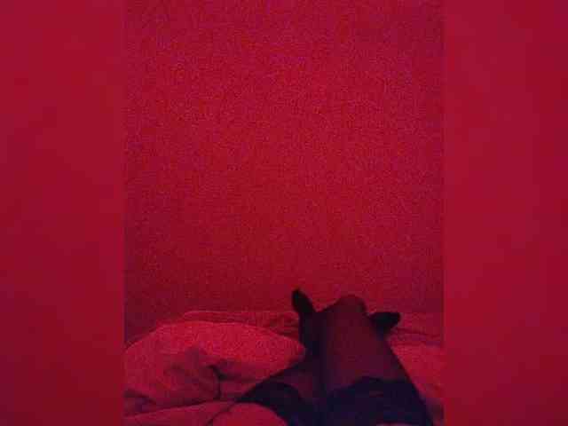 Leisan Live Webcam on BongaCams