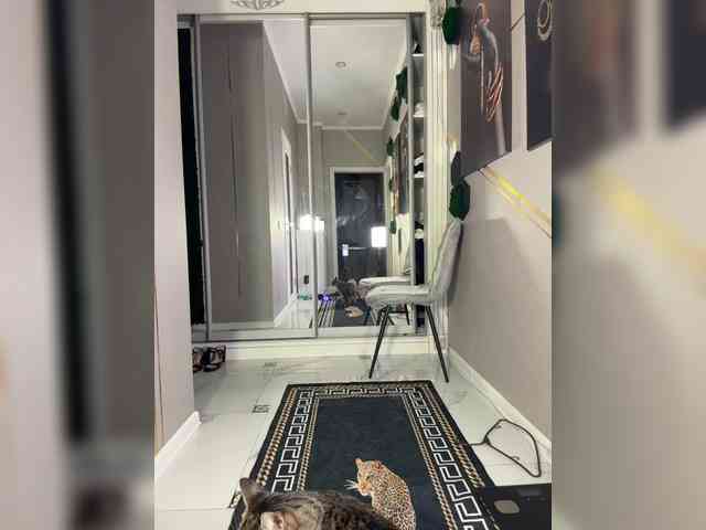 Adel9 webcam
