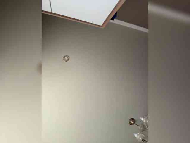 Adel9 webcam