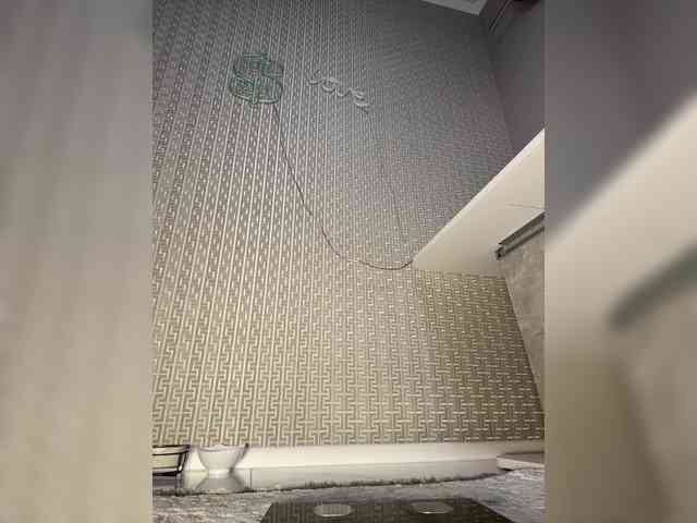 Adel9 Live Webcam on BongaCams