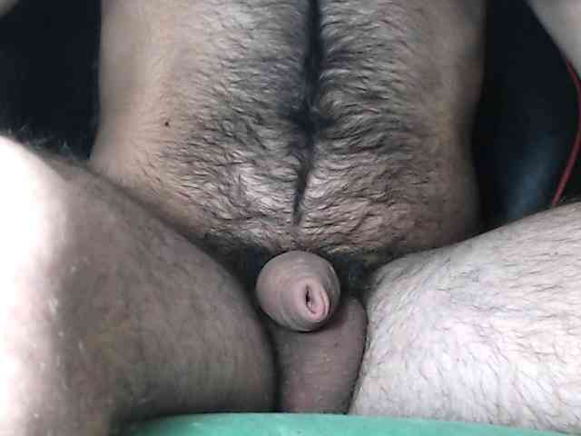 LapijARG Live Webcam on BongaCams