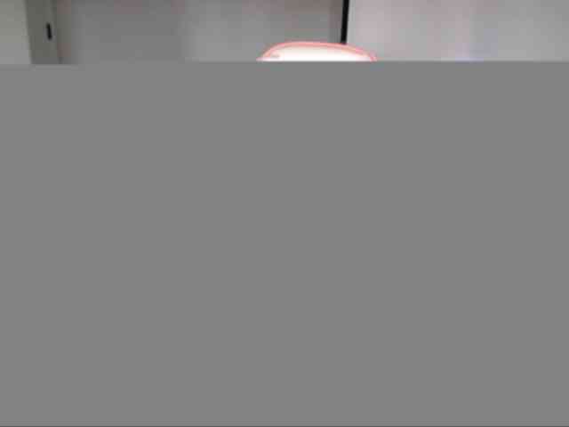 PolinaS Live Webcam on BongaCams