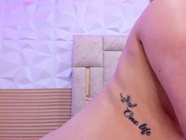 Paulet webcam
