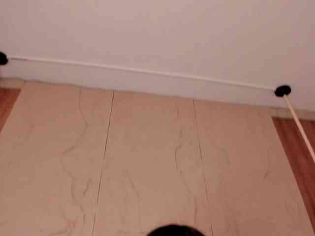 Malu Live Webcam on BongaCams