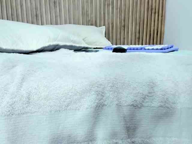 Veerony webcam
