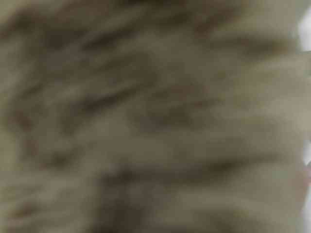 Veerony webcam