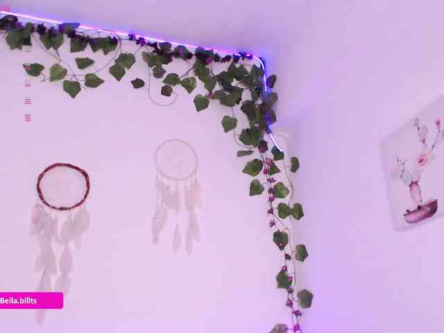 BellaBills webcam