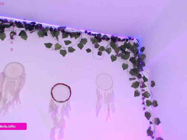 BellaBills webcam
