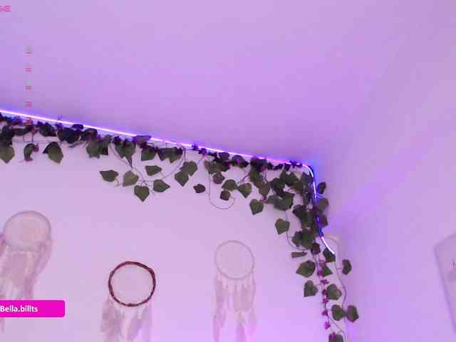 BellaBills webcam