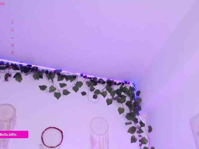 BellaBills webcam