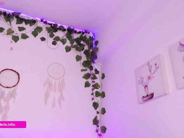 BellaBills webcam