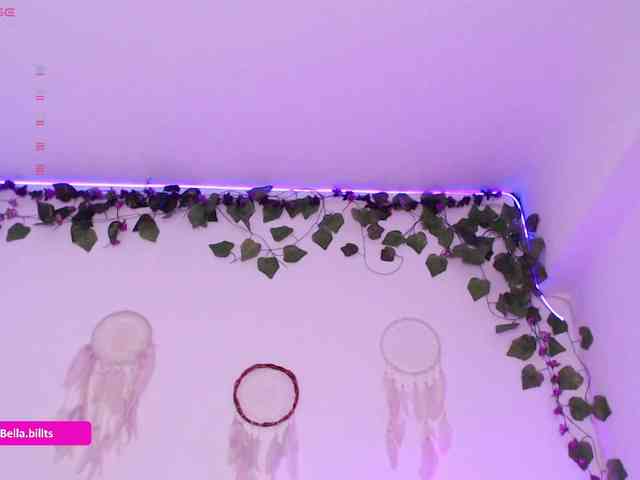 BellaBills webcam