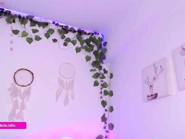 BellaBills webcam