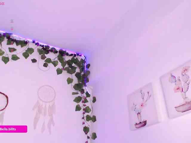 BellaBills webcam