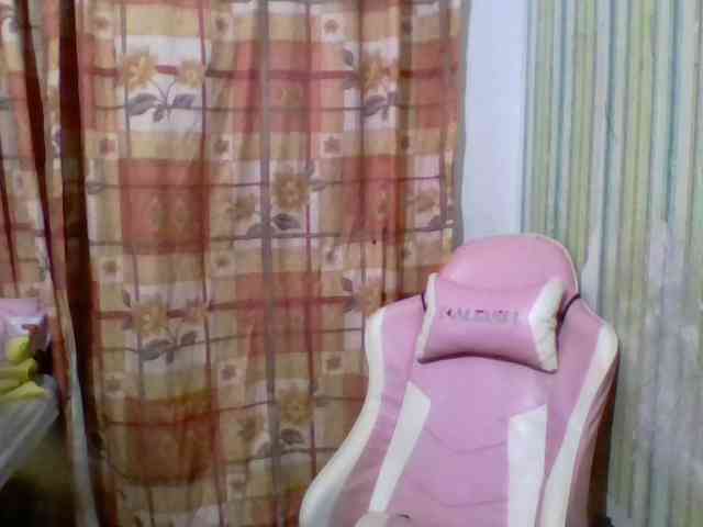 expert0500 webcam