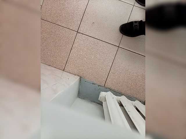 Molii-Molii35's BongaCams show and profile