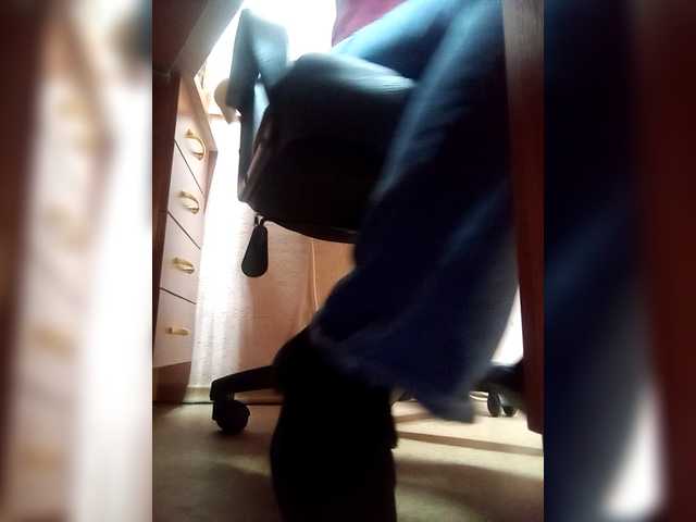 Preview of molii-molii35