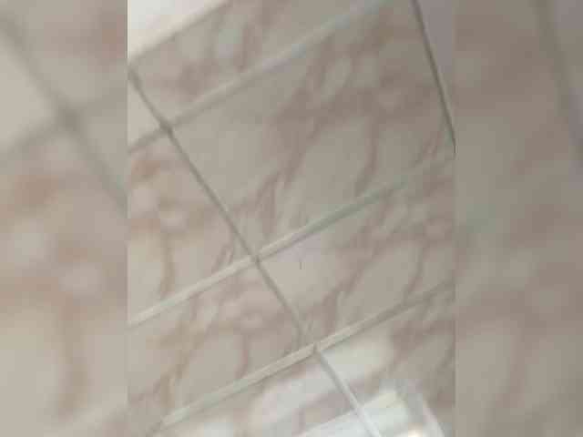 Molii-Molii35 webcam