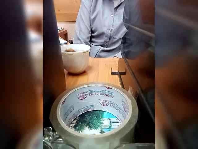 Molii-Molii35 webcam