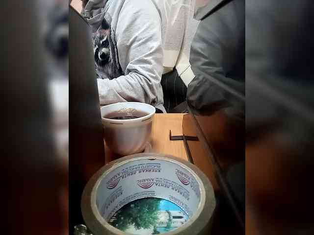 Molii-Molii35 webcam