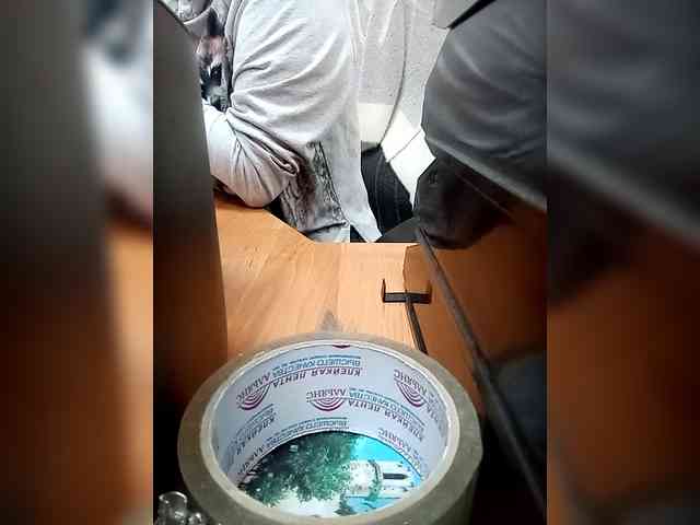 Molii-Molii35 webcam