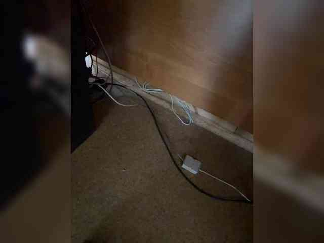 Molii-Molii35 webcam