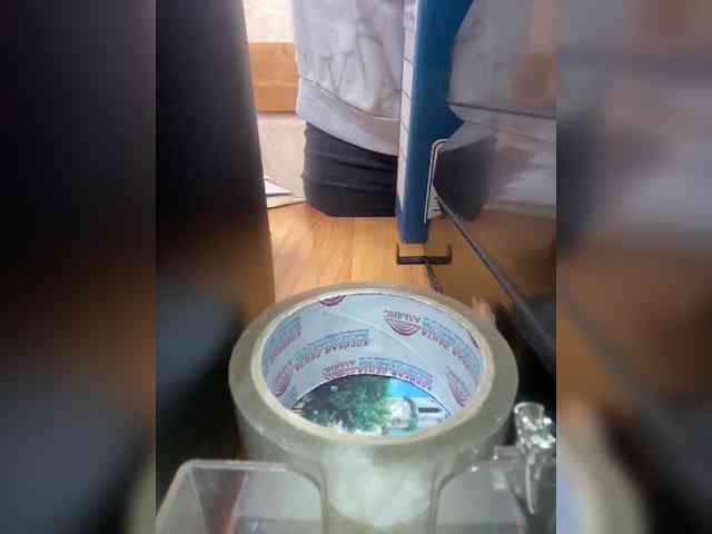 Molii-Molii35 webcam