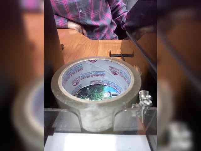 Molii-Molii35 webcam