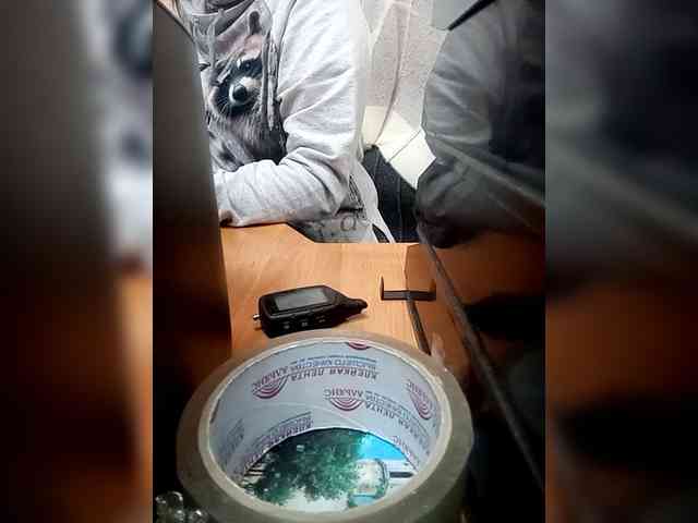 Molii-Molii35 webcam