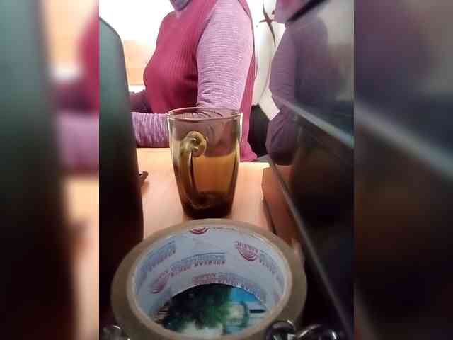 Molii-Molii35 Molii-Molii35