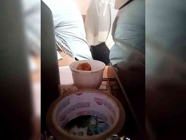 Molii-Molii35 webcam